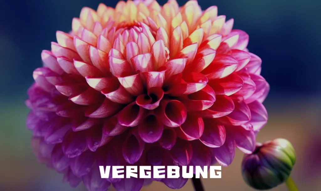 Karte Vergebung