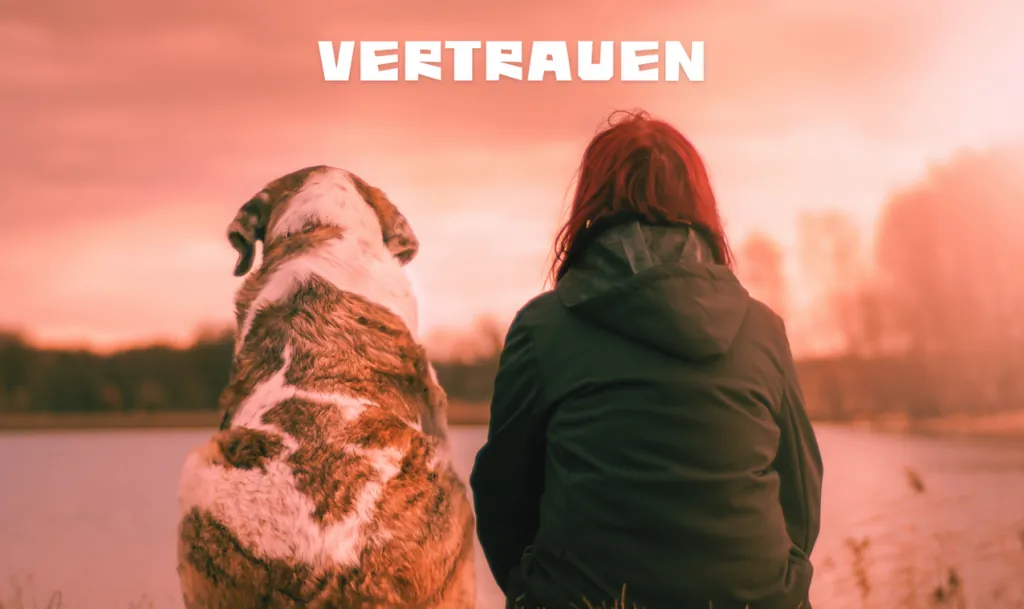 Karte Vertrauen